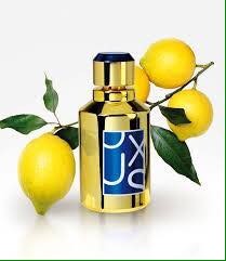 frederic m - 2 - All Perfume  on Aster Vender