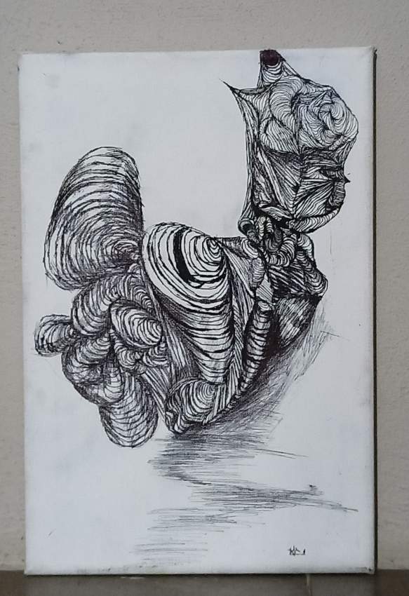 Rose pen art - 0 - Paintings  on Aster Vender