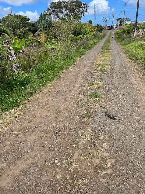 Agricultural Land Verdun - 1 - Land  on Aster Vender