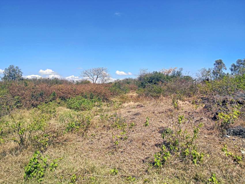 (Ref. MA7-752) Grand terrain constructible - 4 - Land  on Aster Vender