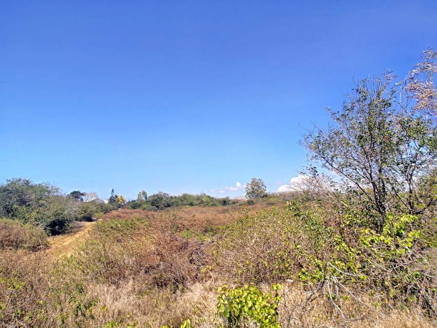 (Ref. MA7-752) Grand terrain constructible - 0 - Land  on Aster Vender