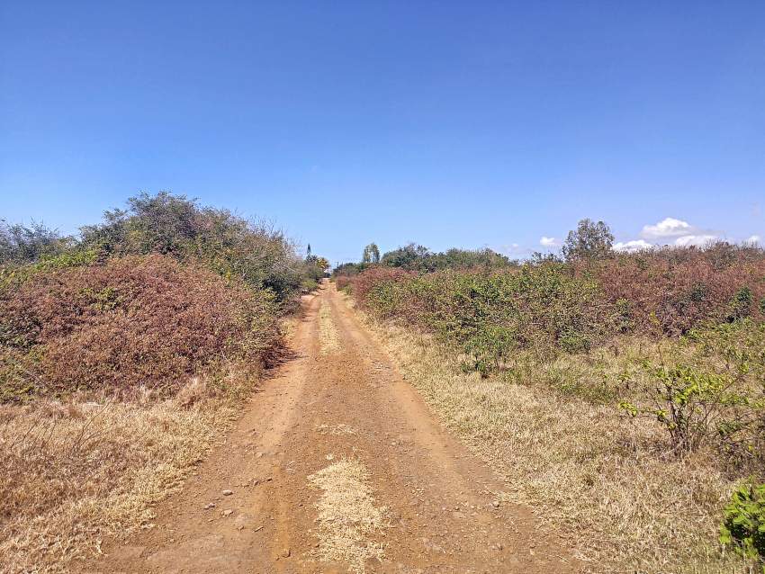 (Ref. MA7-752) Grand terrain constructible - 7 - Land  on Aster Vender