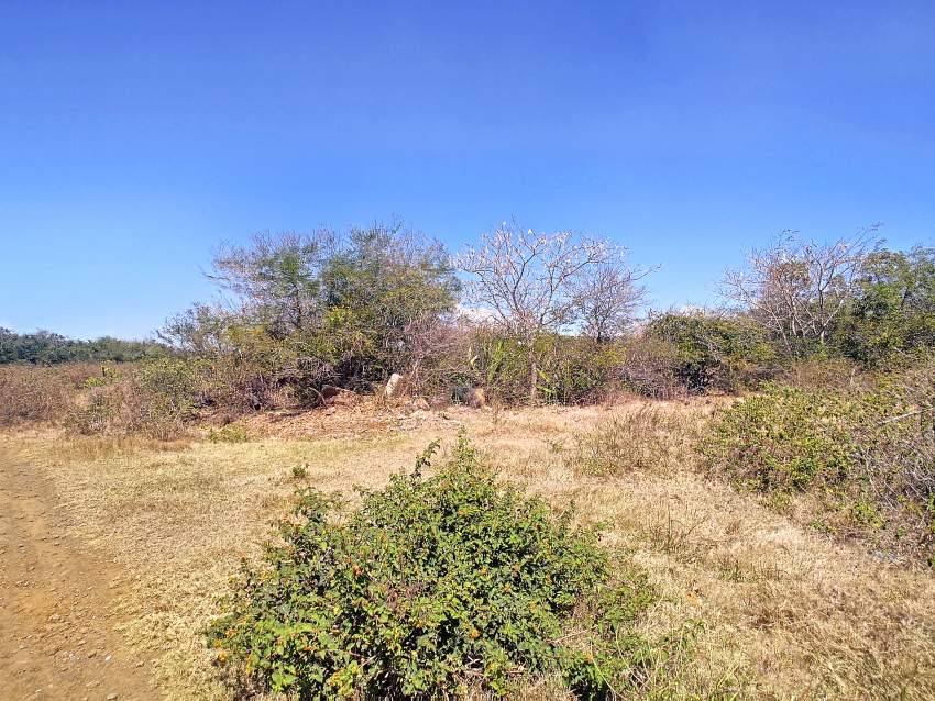 (Ref. MA7-752) Grand terrain constructible - 2 - Land  on Aster Vender