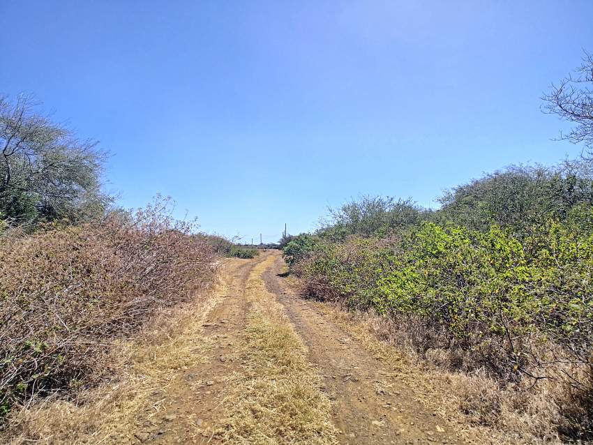 (Ref. MA7-752) Grand terrain constructible - 8 - Land  on Aster Vender