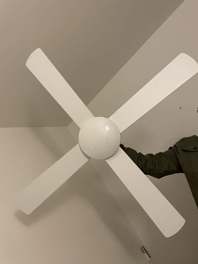 Ceiling Fan  on Aster Vender