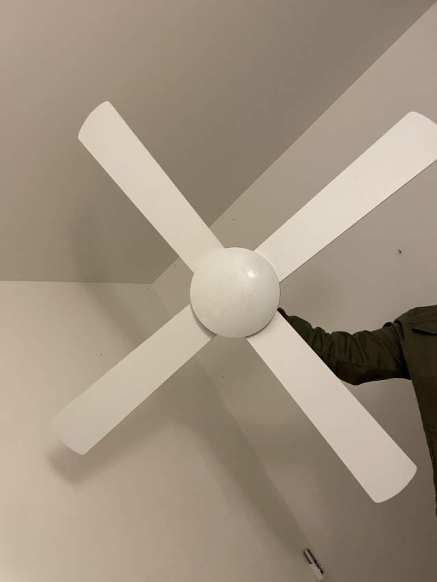 Ceiling Fan - 0 - All household appliances  on Aster Vender
