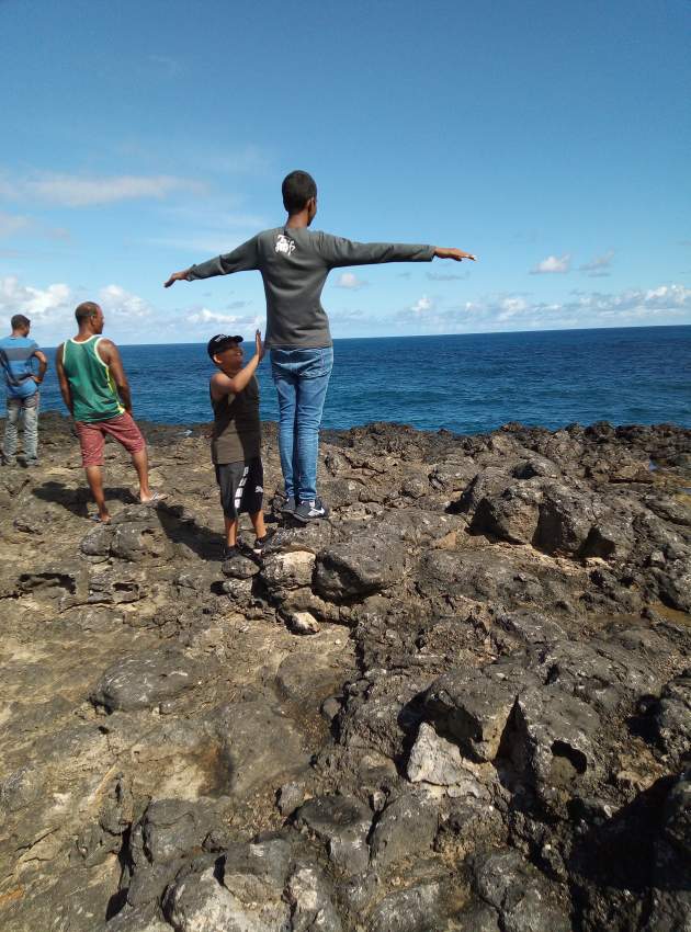 Clean back yard  and lawn mowing  - 1 - Cleaning services  on Aster Vender