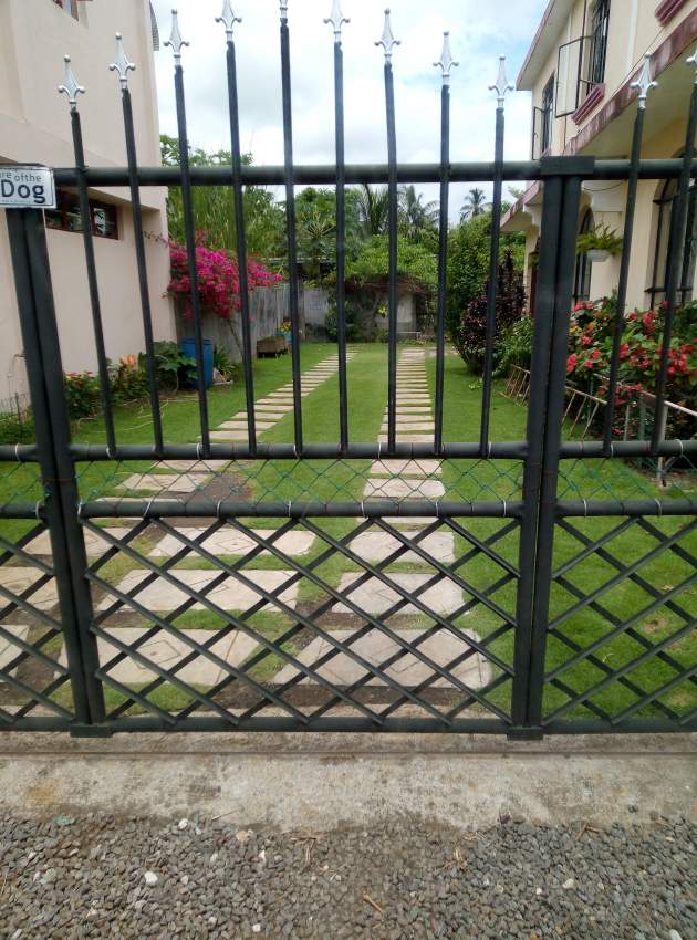 Clean back yard  and lawn mowing  - 2 - Cleaning services  on Aster Vender