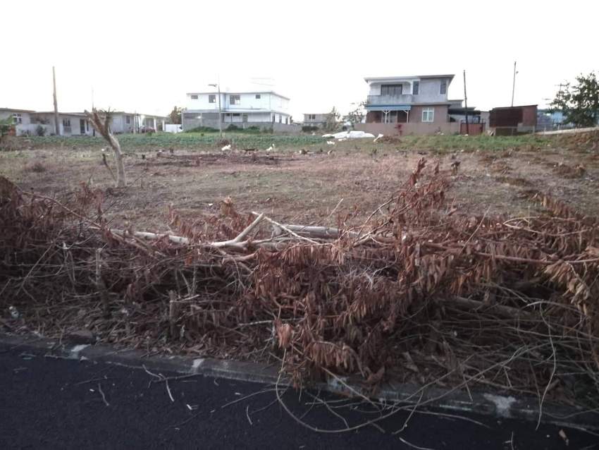 Residential & Commercial Land on Aster Vender