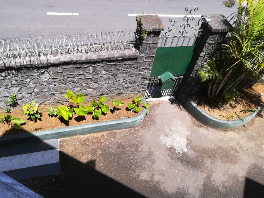 Duplex for rent - 5 - House  on Aster Vender