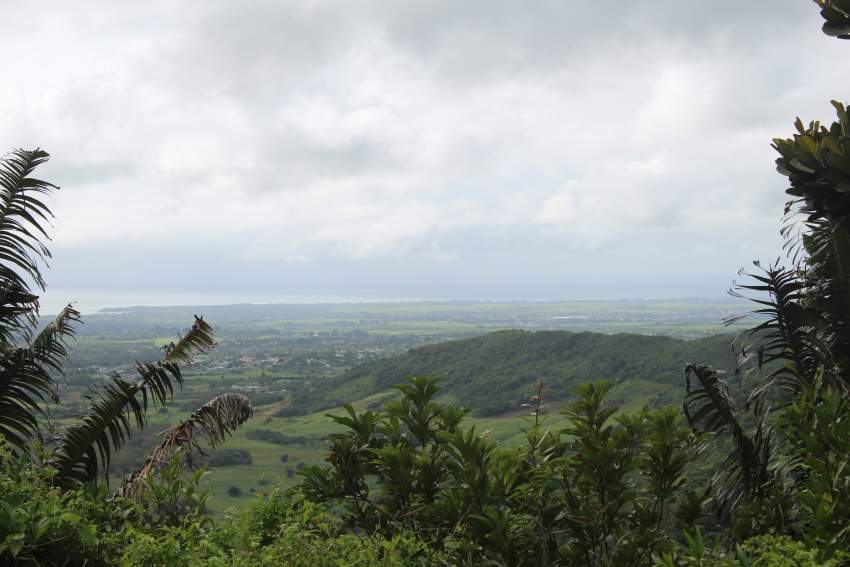 SEA AND MOUNTAIN VIEWS on Aster Vender