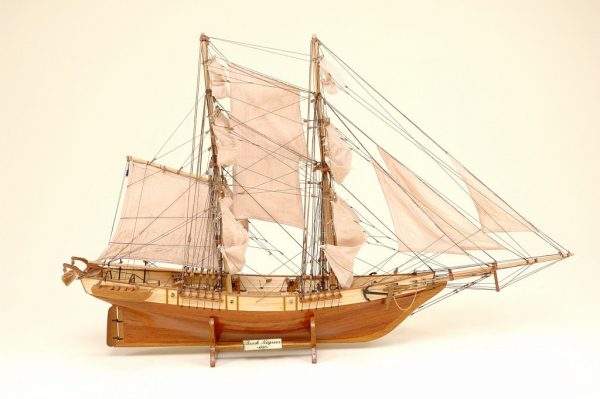 Hurricane Brick Négrier on Aster Vender