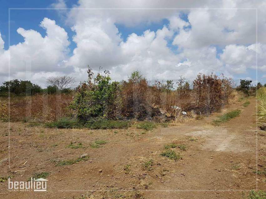 40 perches Agricultural Land in Reunion Maurel,Petit Raffray  - 0 - Land  on Aster Vender