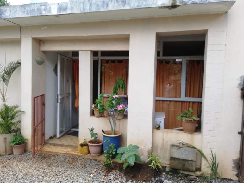 JB Yoshika - 0 - House  on Aster Vender