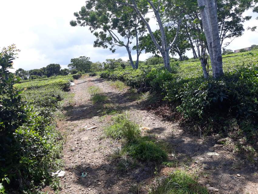 Plot of land at Nouvelle France - 1 - Land  on Aster Vender