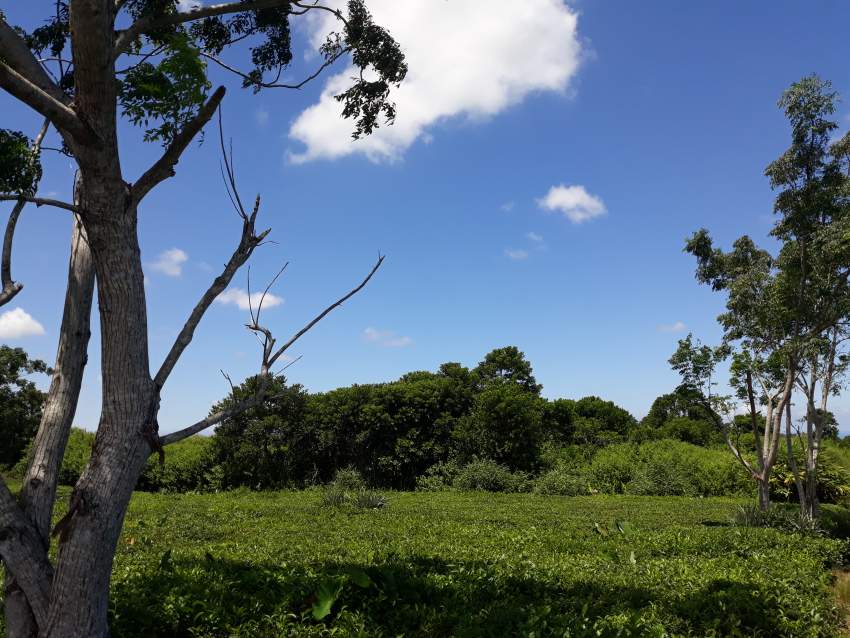 Plot of land at Nouvelle France - 2 - Land  on Aster Vender