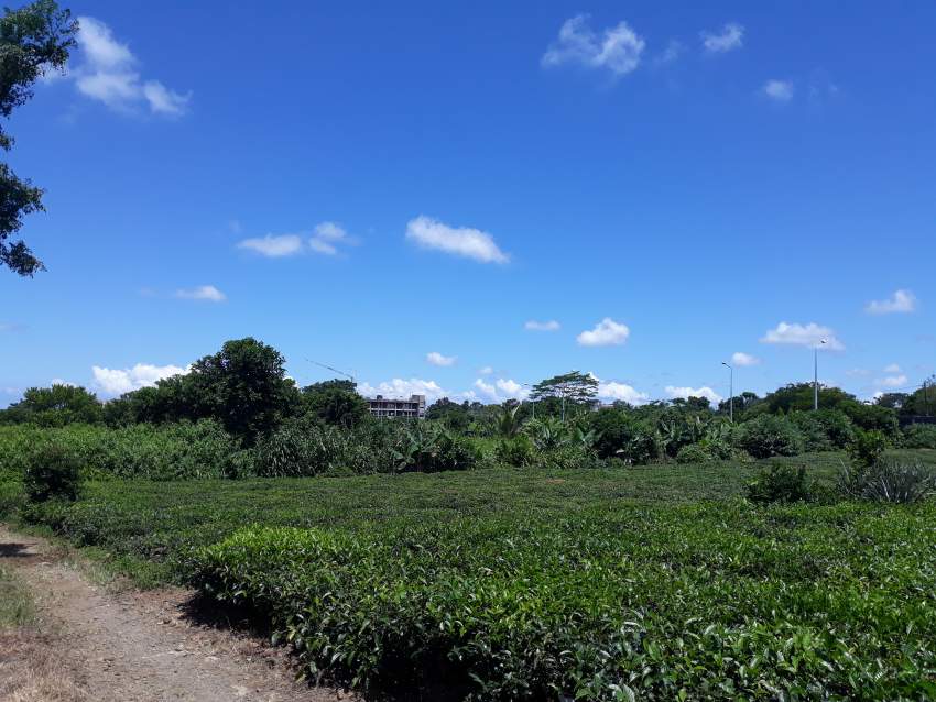 Plot of land at Nouvelle France - 3 - Land  on Aster Vender