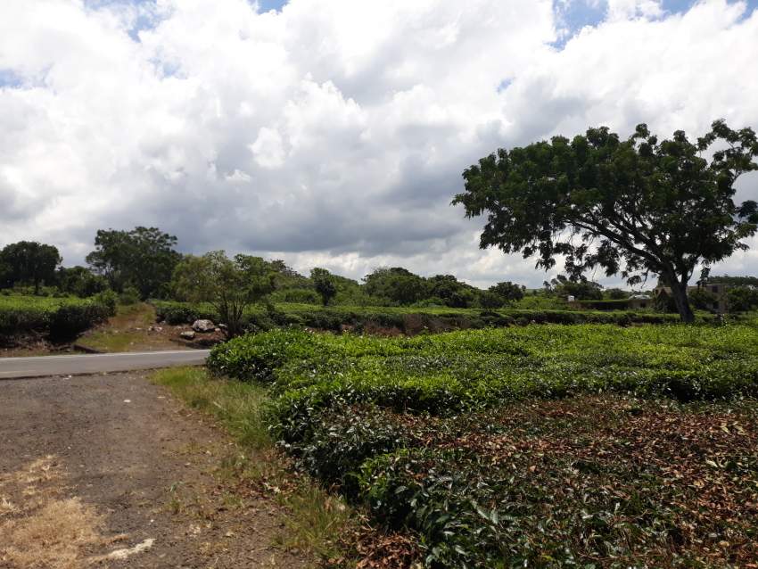 Plot of land at Nouvelle France - 0 - Land  on Aster Vender