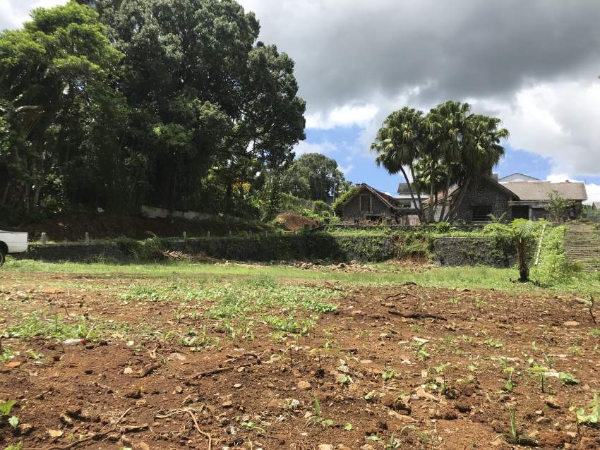 Demi Arpent de Terrain avec Maison Colonial  - 4 - Land  on Aster Vender