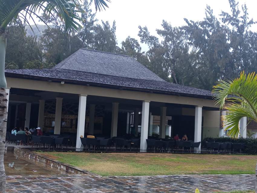 BALAO WOOD - 7 - Others  on Aster Vender