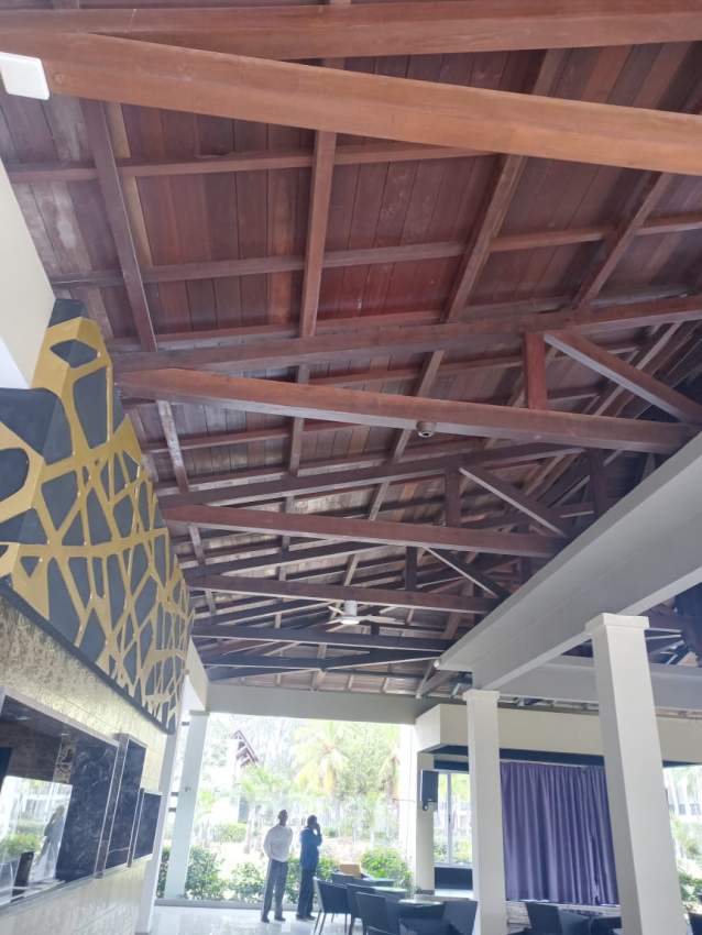 BALAO WOOD - 3 - Others  on Aster Vender