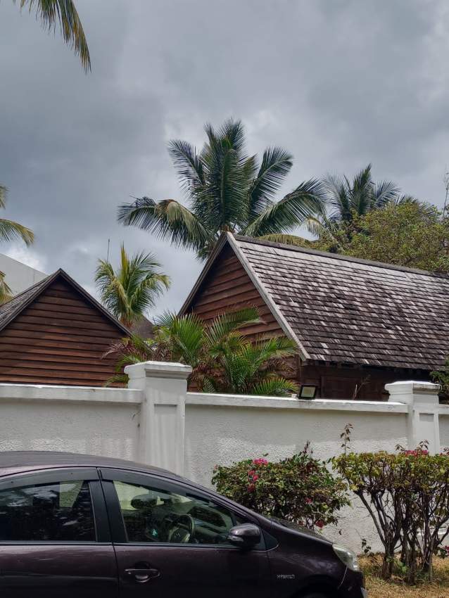 BALAO WOOD - 1 - Others  on Aster Vender