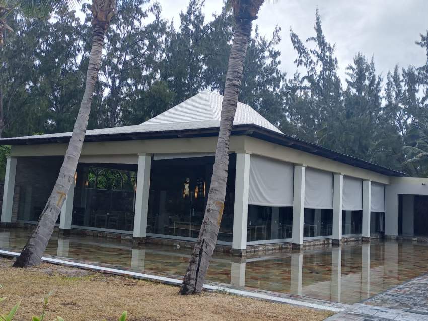 BALAO WOOD - 4 - Others  on Aster Vender