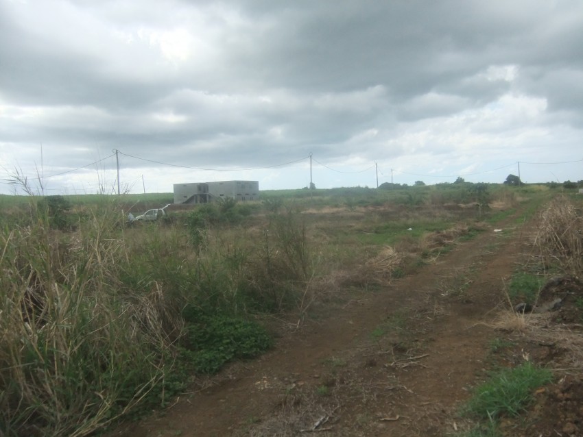 Terrain a Vendre a Beau Plateau , Cottage - 0 - Land  on Aster Vender