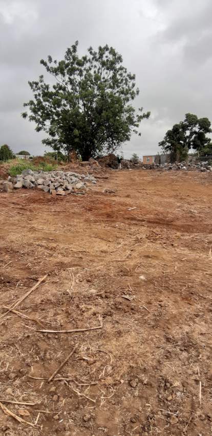 LAND - 1 - Land  on Aster Vender