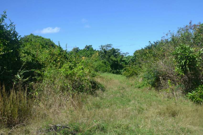 Terrain de 69 perches à vendre à Grand Gaube - 1 - Land  on Aster Vender