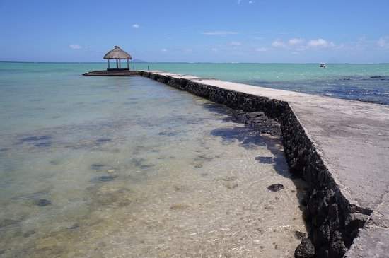 Terrain de 69 perches à vendre à Grand Gaube - 2 - Land  on Aster Vender