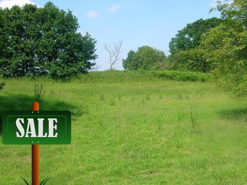 land for sale - 0 - Land  on Aster Vender