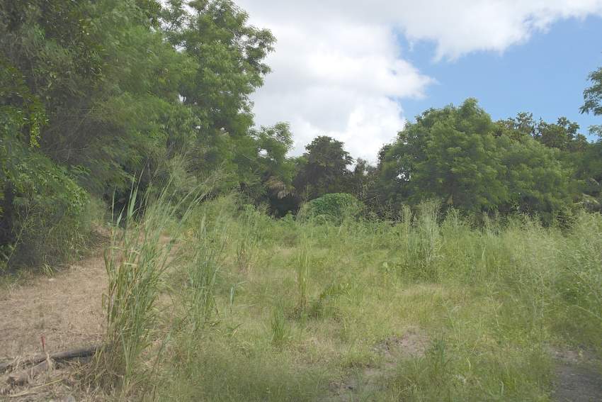 Terrain résidentiel à Rivière Noire - 2 - Land  on Aster Vender