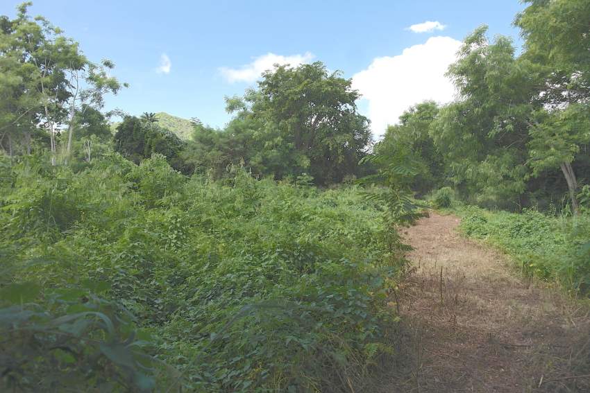 Terrain résidentiel à Rivière Noire - 0 - Land  on Aster Vender