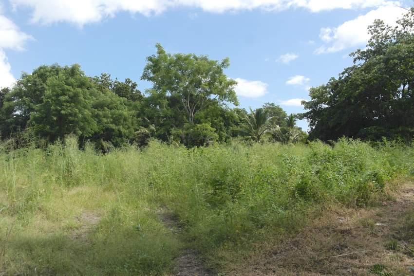 Terrain résidentiel à Rivière Noire - 1 - Land  on Aster Vender