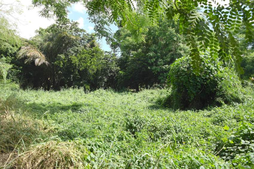 Terrain résidentiel à Rivière Noire - 3 - Land  on Aster Vender