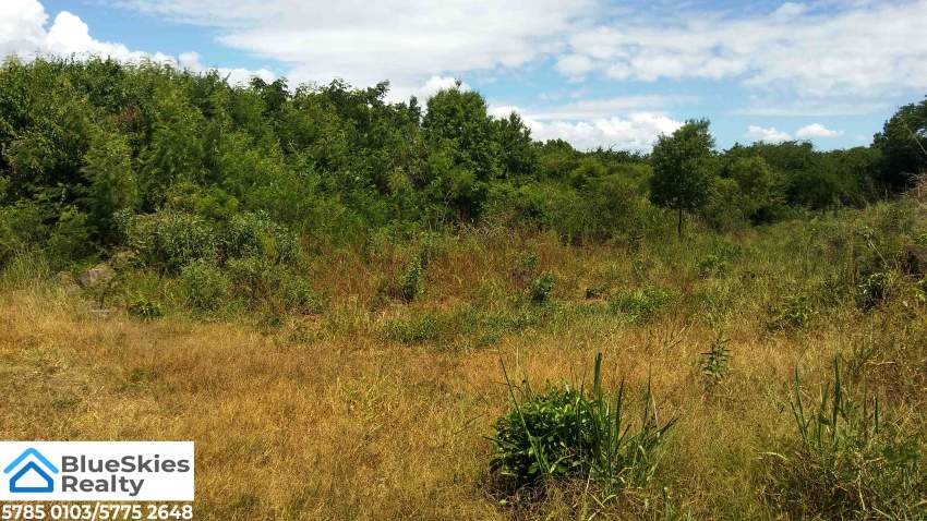 Residential Land 37 Perches Pereybere - 1 - Land  on Aster Vender