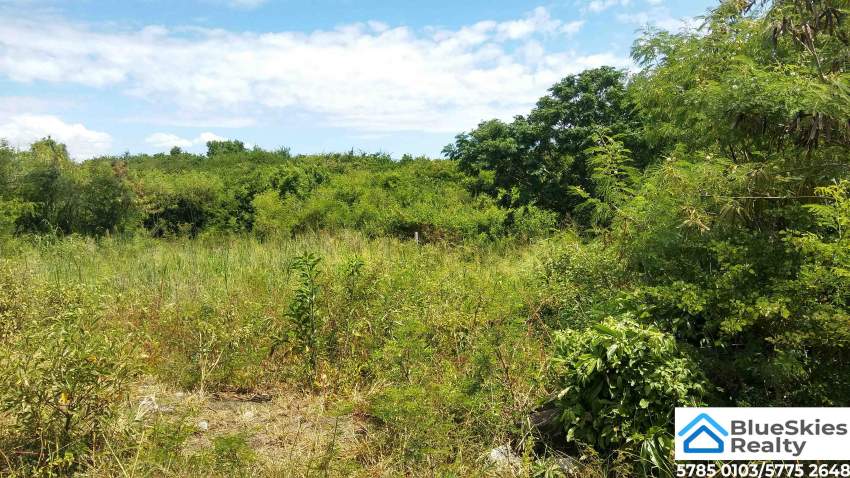 Residential Land 37 Perches Pereybere - 2 - Land  on Aster Vender