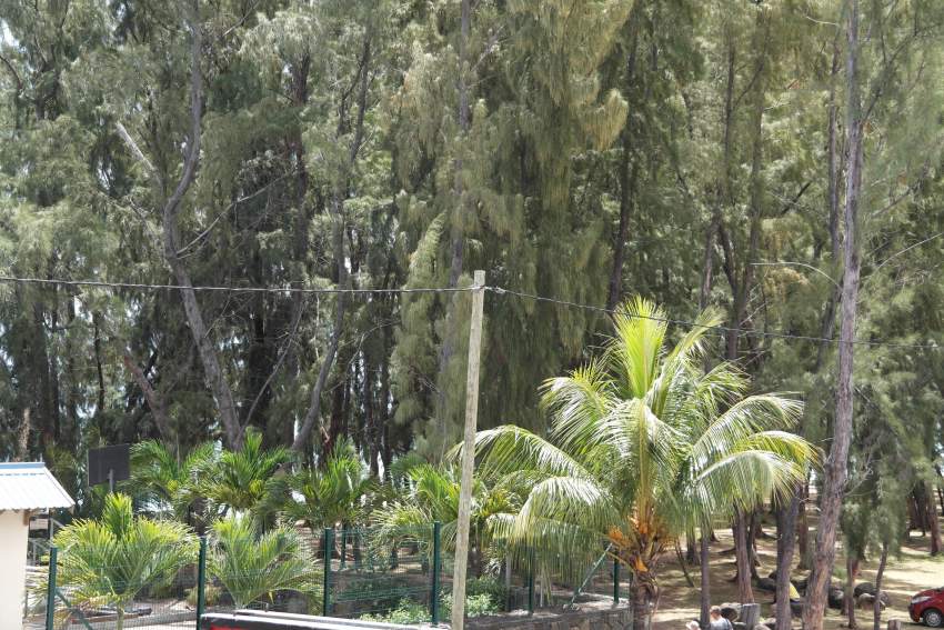 Flic en Flac location appartement pied dans l'eau - 7 - Apartments  on Aster Vender