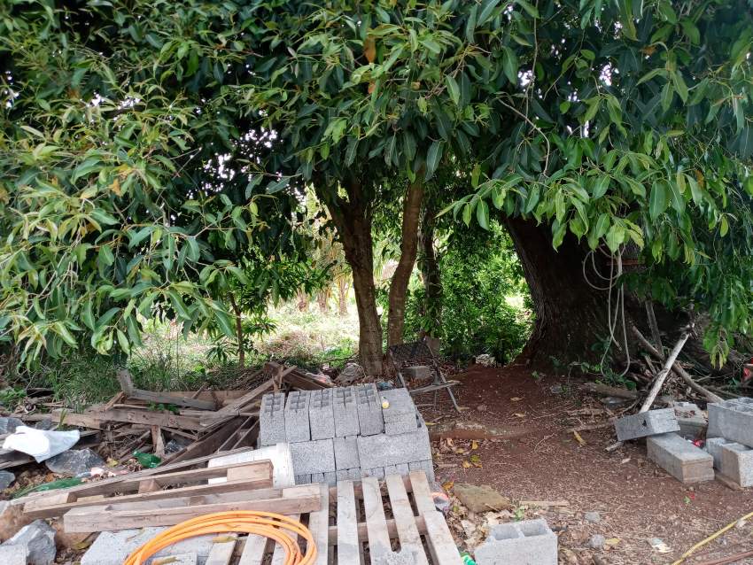 Land - 0 - Land  on Aster Vender