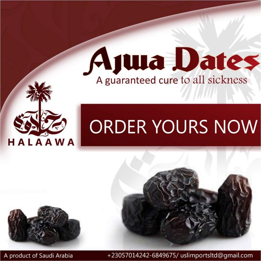 Ajwa Dates - 4 - Fruits  on Aster Vender
