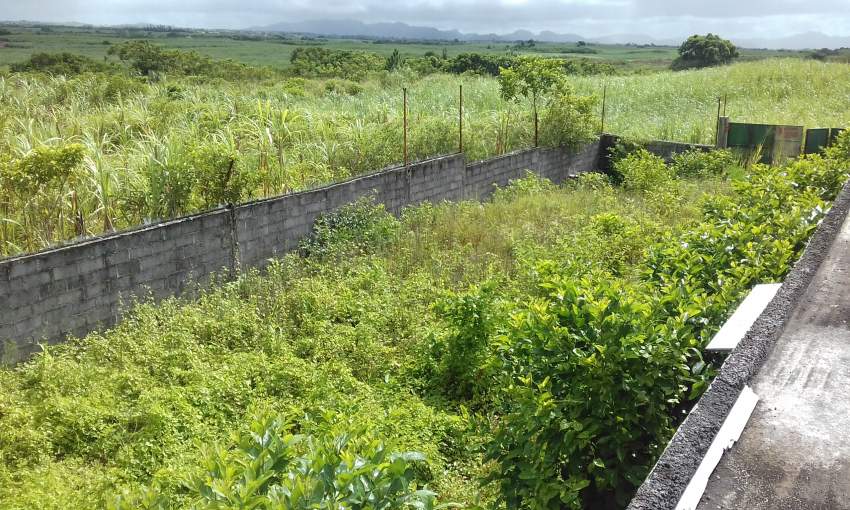 POULTRY PEN FOR SALE on Aster Vender