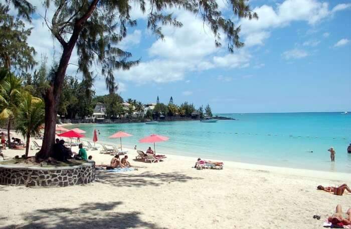 Terrain a vendre Pereybere - 0 - Land  on Aster Vender