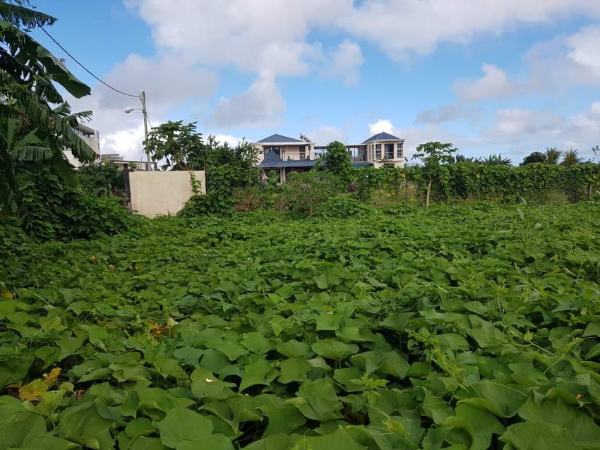 6 Perches Residential Land for Sale - 1 - Land  on Aster Vender