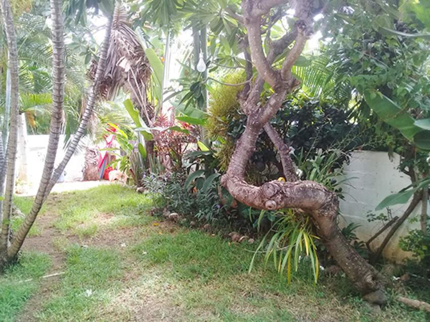 Tamarin 3 bedrooms villa in a quiet neighborhood and close to all amen - 8 - House  on Aster Vender