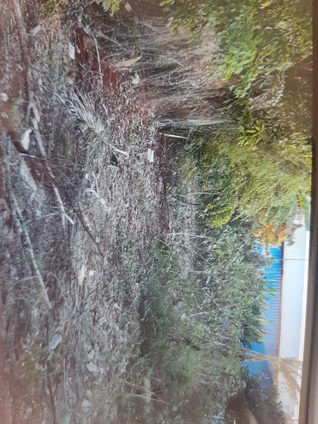 Terrain - 0 - Land  on Aster Vender