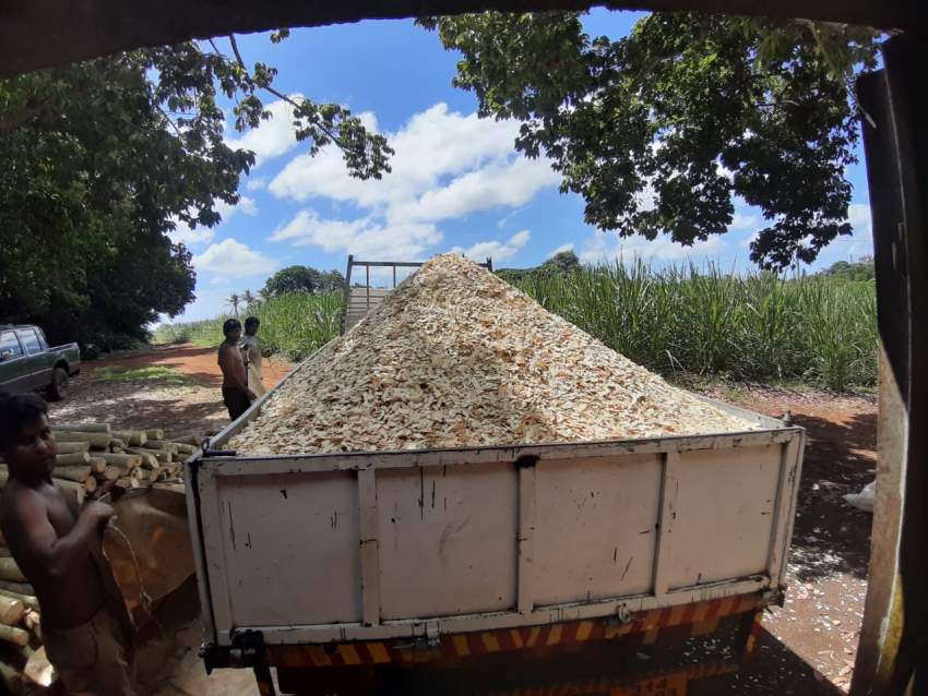 Woodchips - 2 - Plants and Trees  on Aster Vender