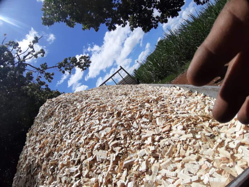 Woodchips - 1 - Plants and Trees  on Aster Vender