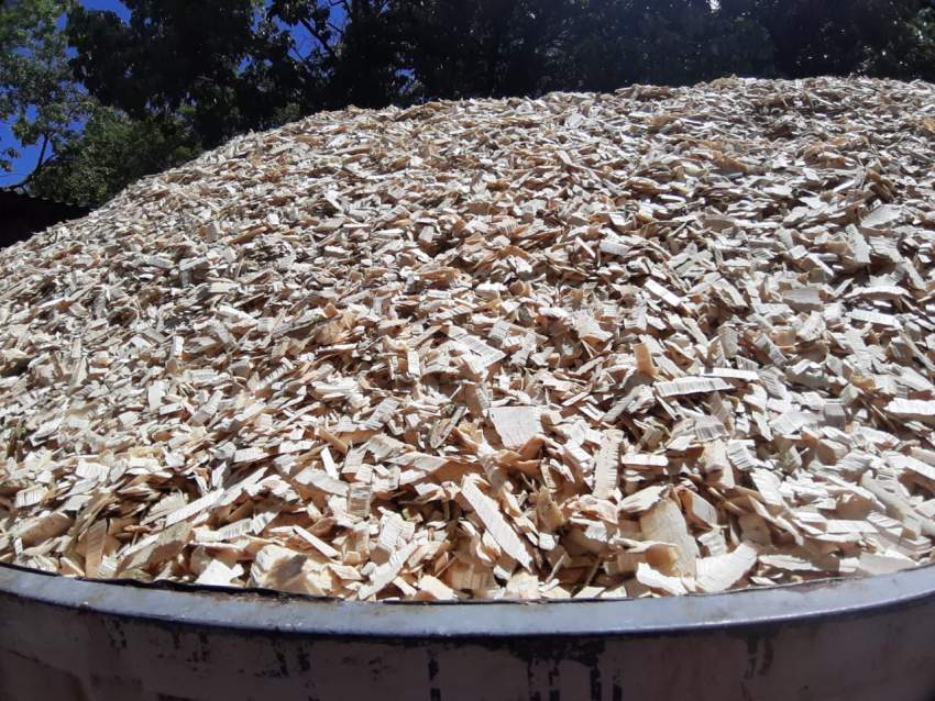 Woodchips - 0 - Plants and Trees  on Aster Vender