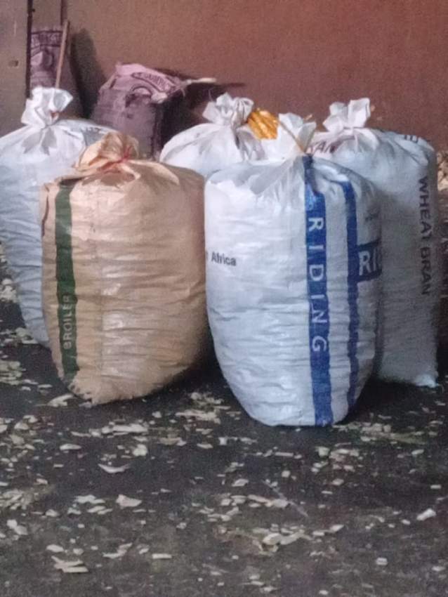 Woodchips - 3 - Plants and Trees  on Aster Vender